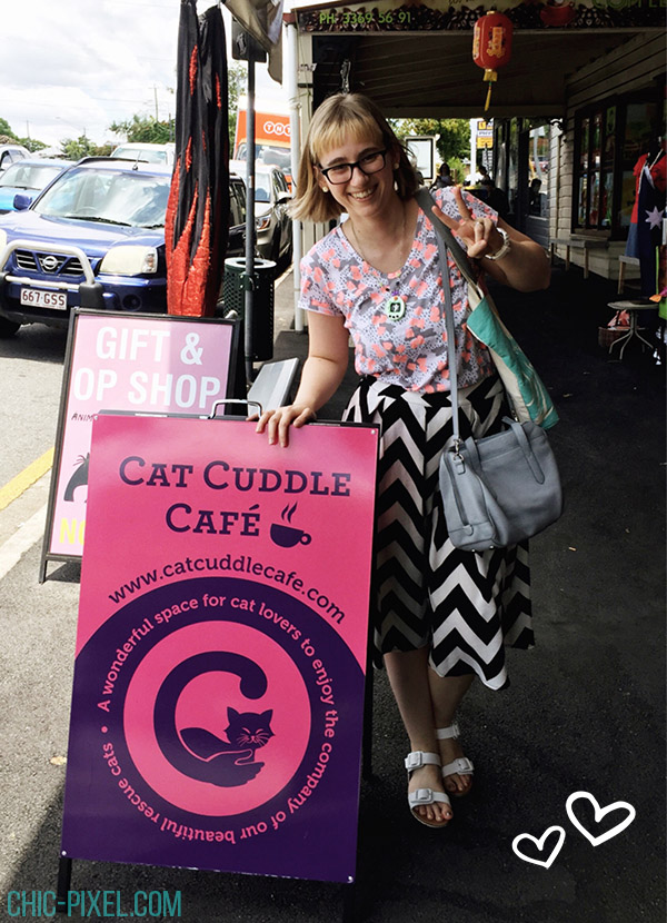 Visiting the Brisbane Cat Cuddle Café Chic Pixel