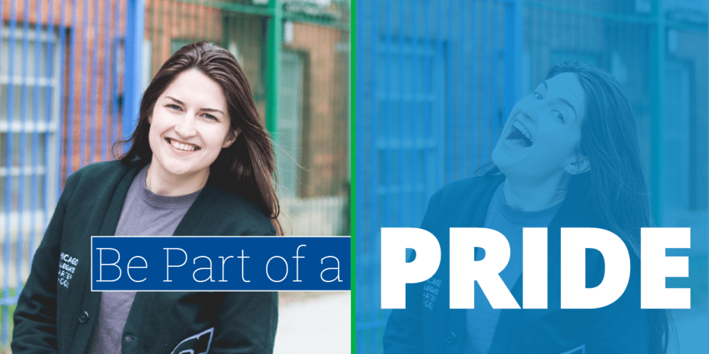 Careers - Chicago Collegiate Charter School