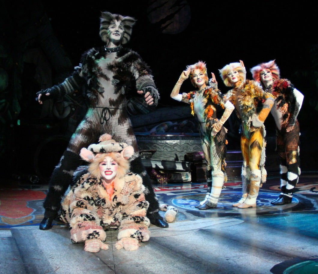 Catsthe National Tour Theatre reviews