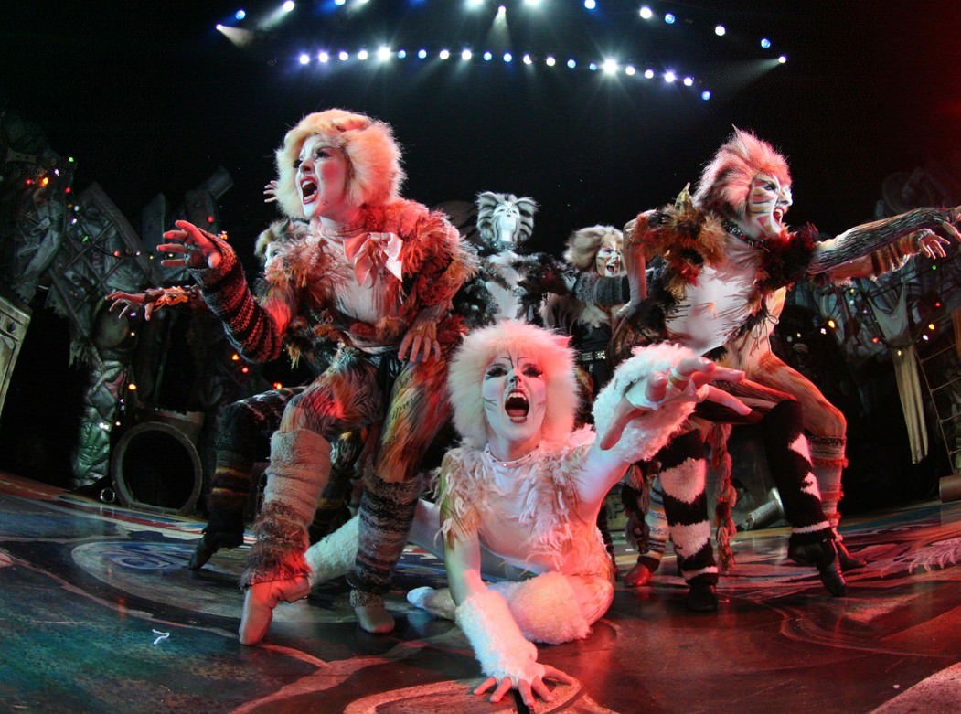 Catsthe National Tour Theatre reviews