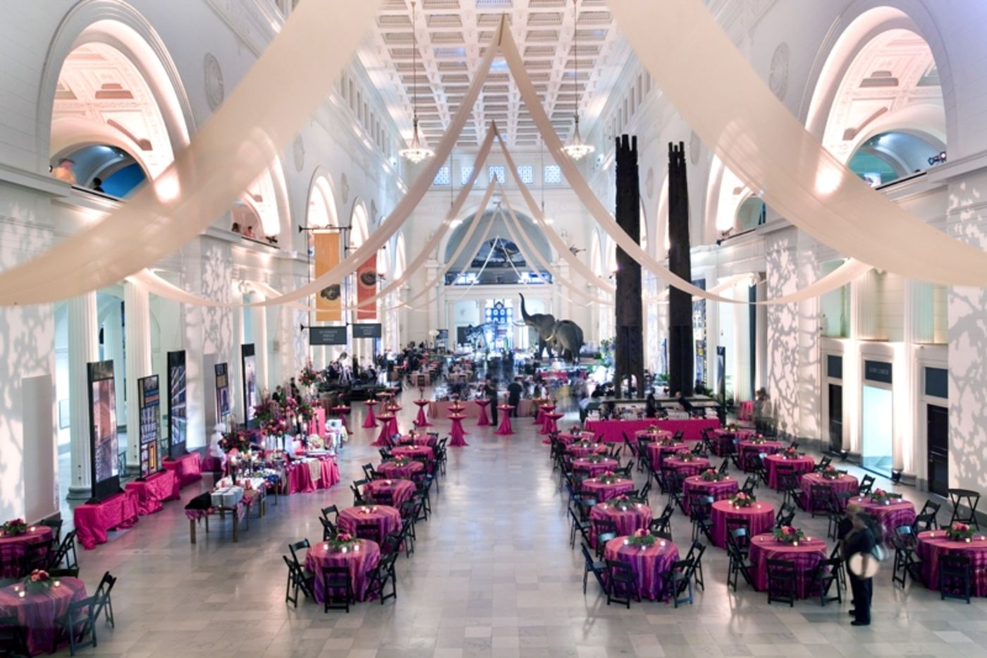 The Field Museum Chicago Event Venues