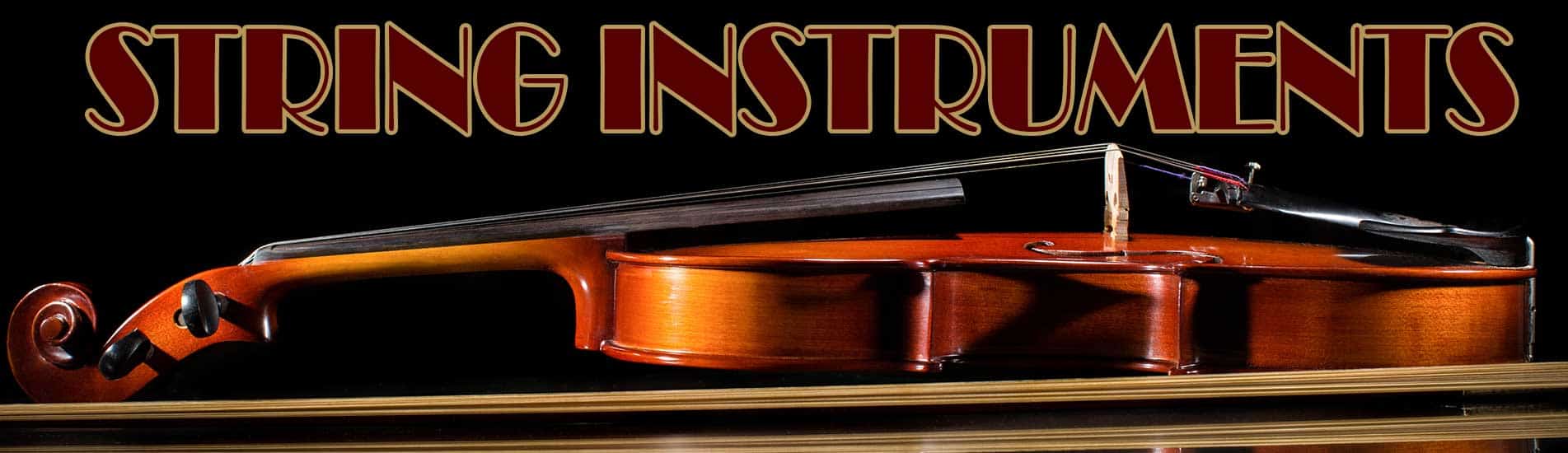 String Instruments For Musicians in Geneva Batavia