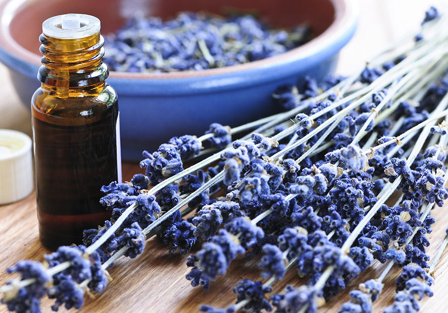A guide to using essential oils Chicago Parent