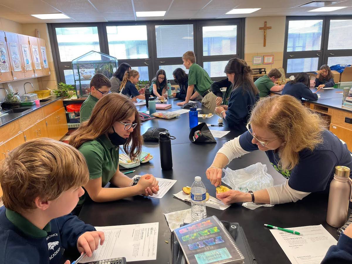 Planting Seeds of Growth at St. Monica Academy Chicago Parent