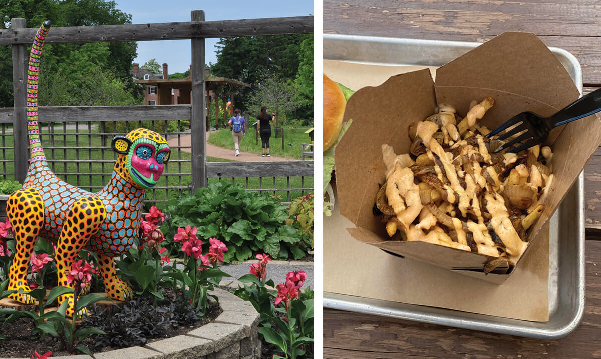 Family Neighborhood Guide to Wheaton Chicago Parent