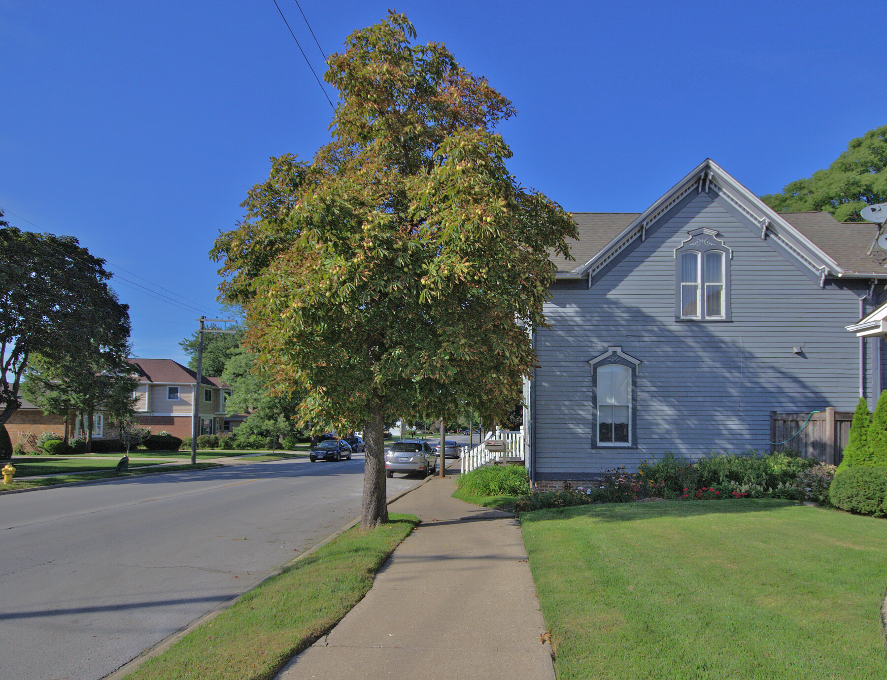 » Historic Houses and Homesteads in Old Norwood Park Chicago Patterns