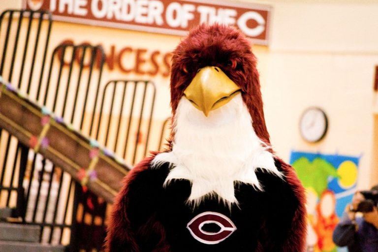 Phil the Phoenix Eats Child The Chicago Shady Dealer