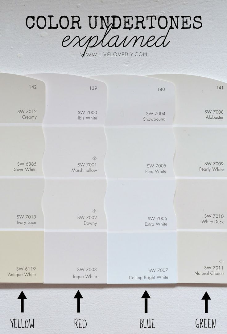 PAINT COLOR PUZZLE CHIC FILES