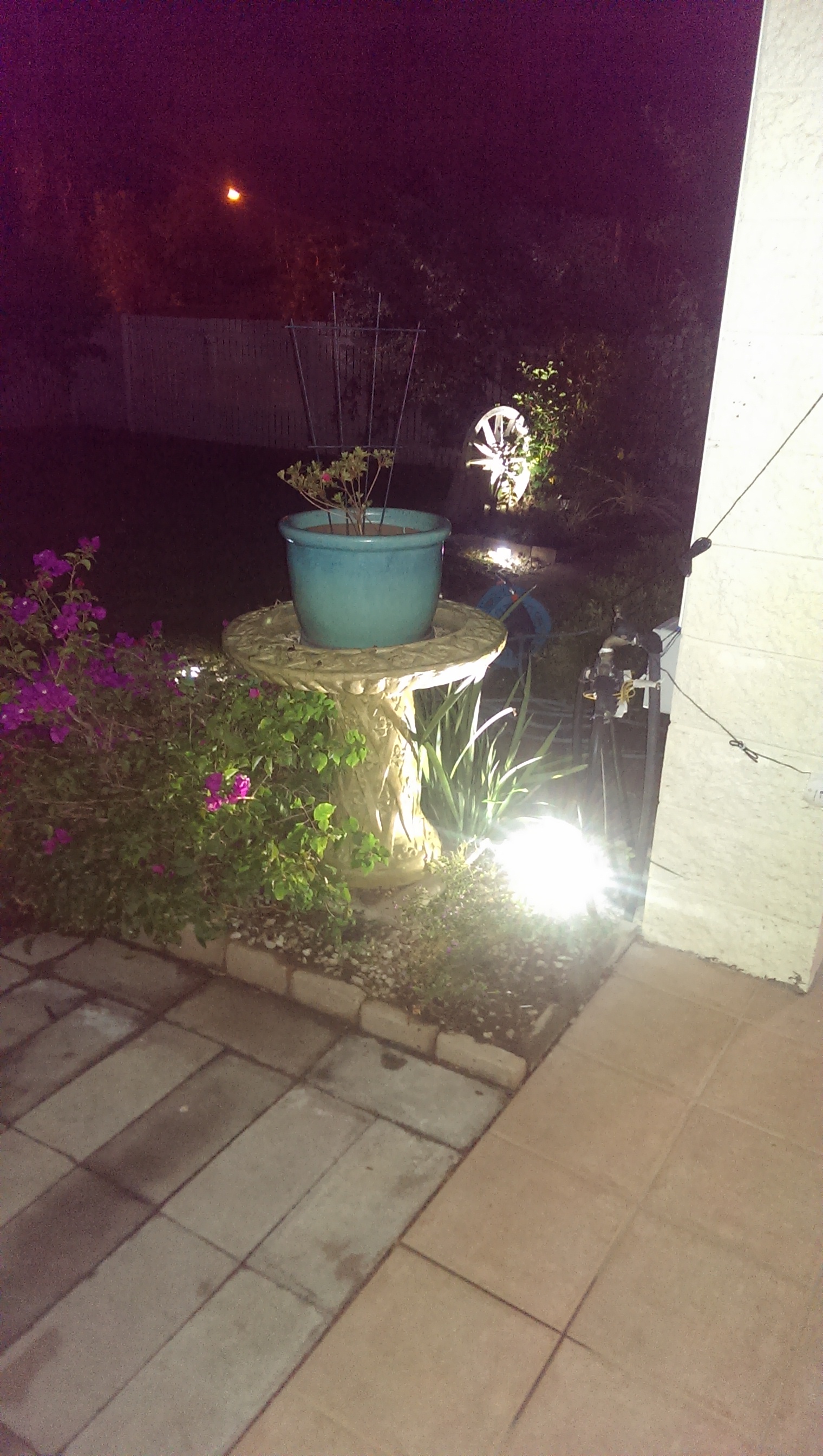 Spotlight (Fountain) Chickelec