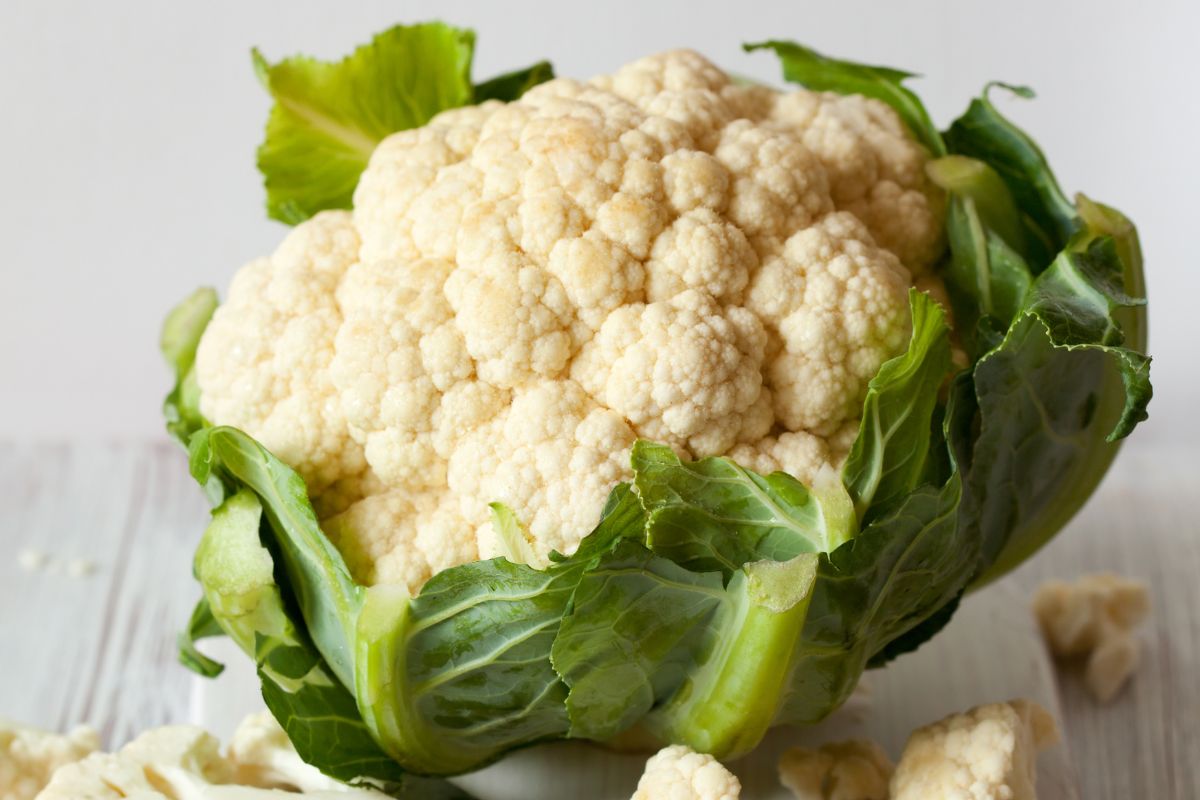 Can Chickens Eat Cauliflower? (Nutritional Value/Benefits) Chicken & Chicks Info