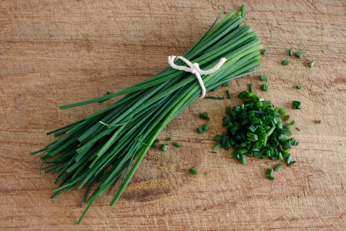 Can Chickens Eat Chives? (Yep + Other Healthy Foods) Chicken & Chicks