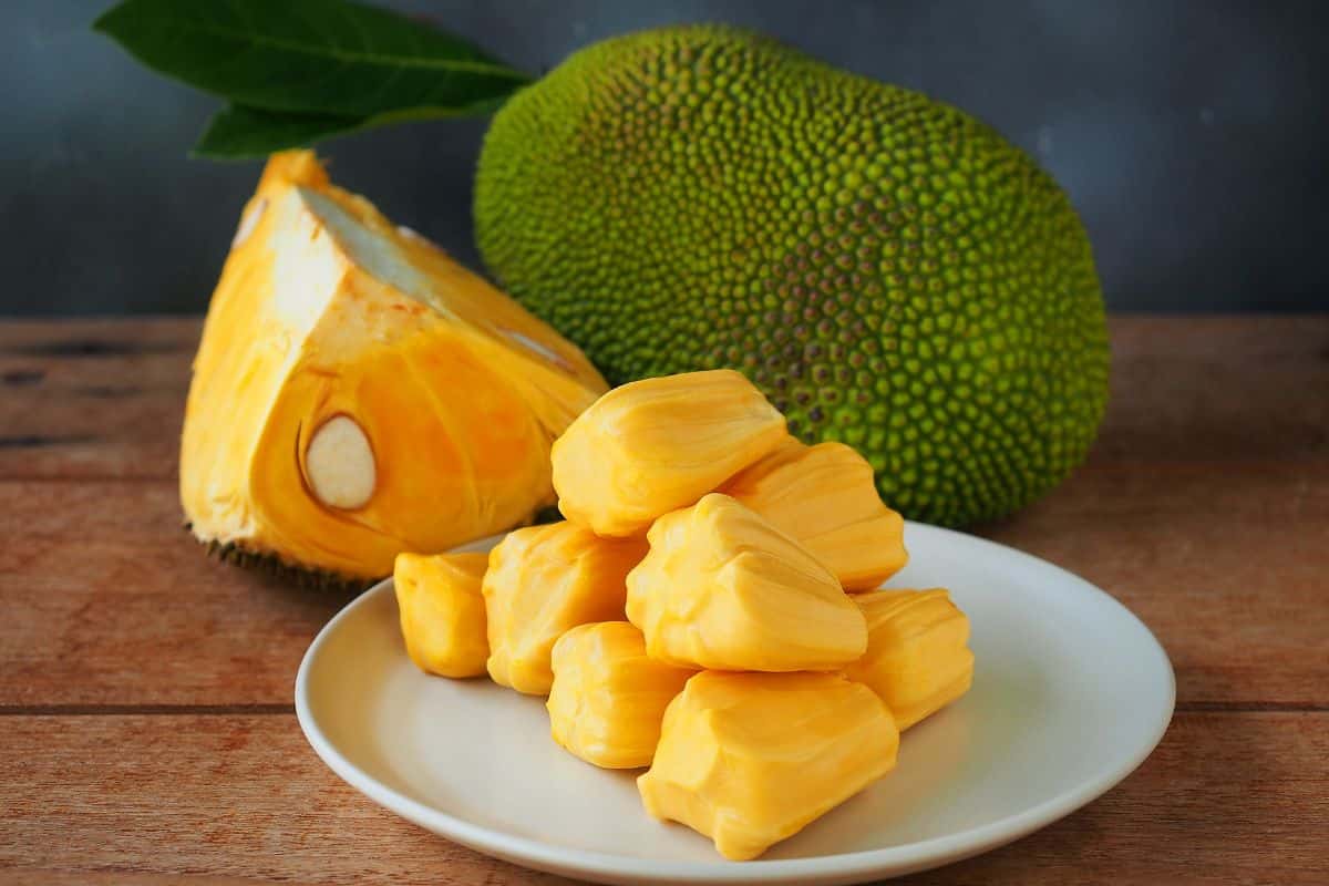 Can Chickens Eat Jackfruit? (Some Caution Needed) Chicken & Chicks Info