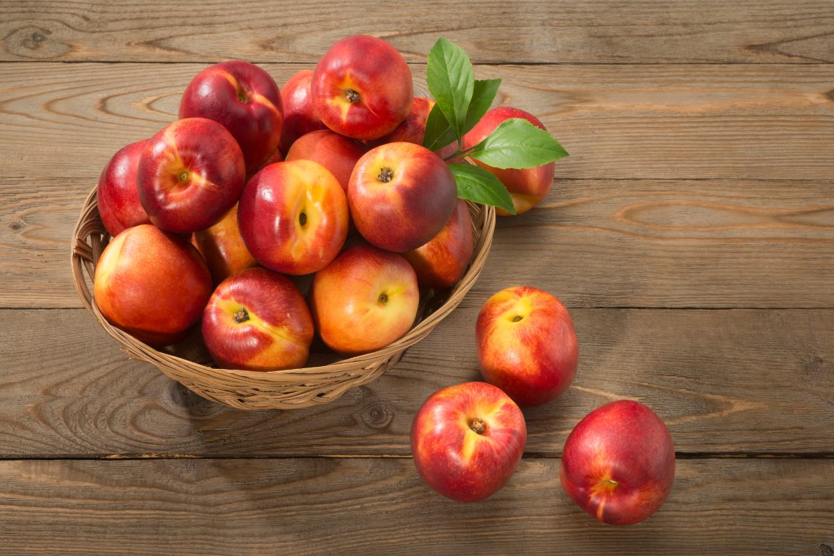 Can Chickens Eat Nectarines? (+ Other Healthy Treats for Chickens