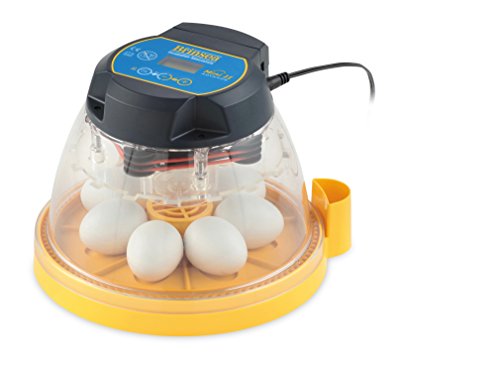 Best Chicken Egg Incubator for Sale 2019 Reviews & Guide