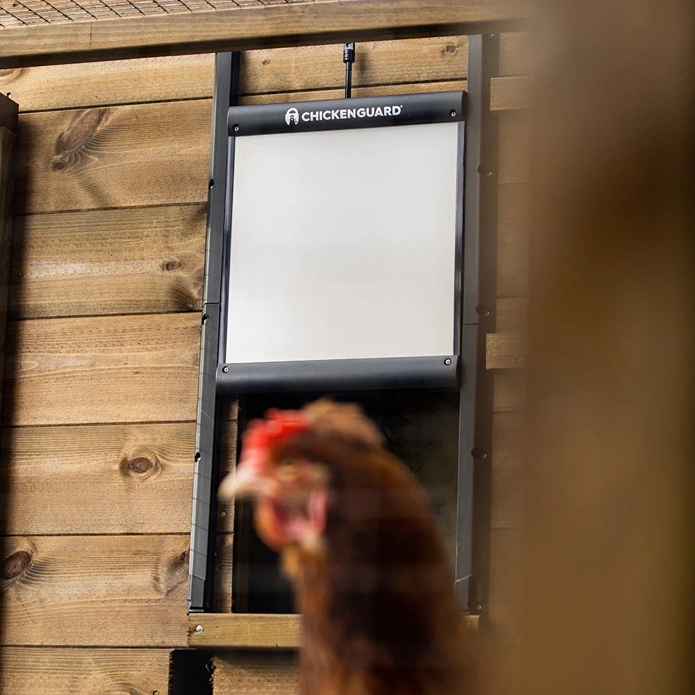 The Worlds Best Automatic Chicken Coop Door ChickenGuard