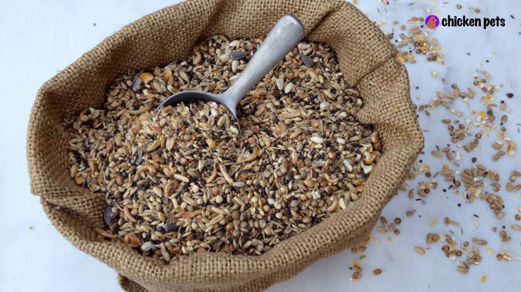 Chicken Feed and Nutrition for Backyard Chickens Chicken Pets