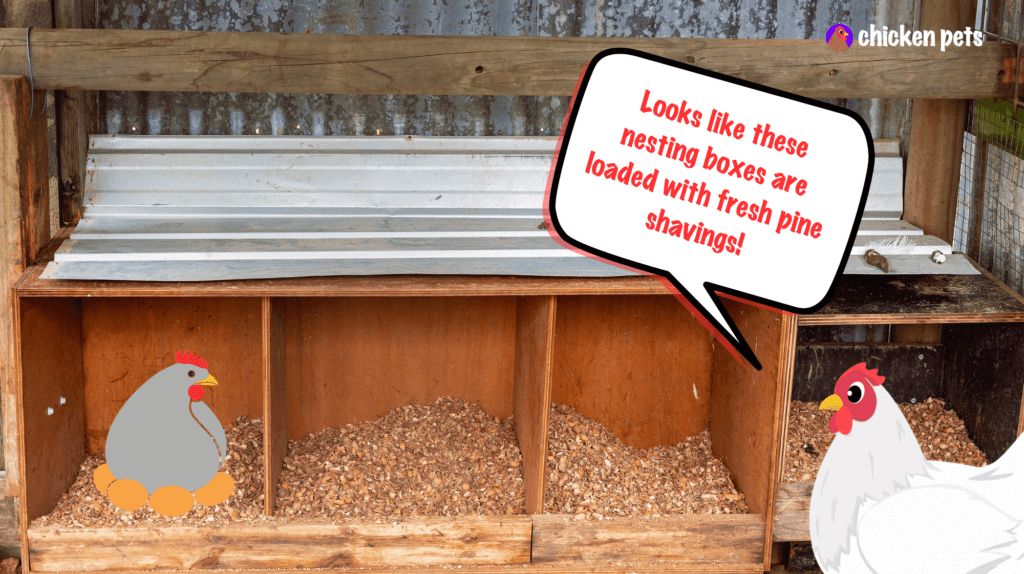 Chicken Nesting Materials. Best Options for Chickens Chicken Pets