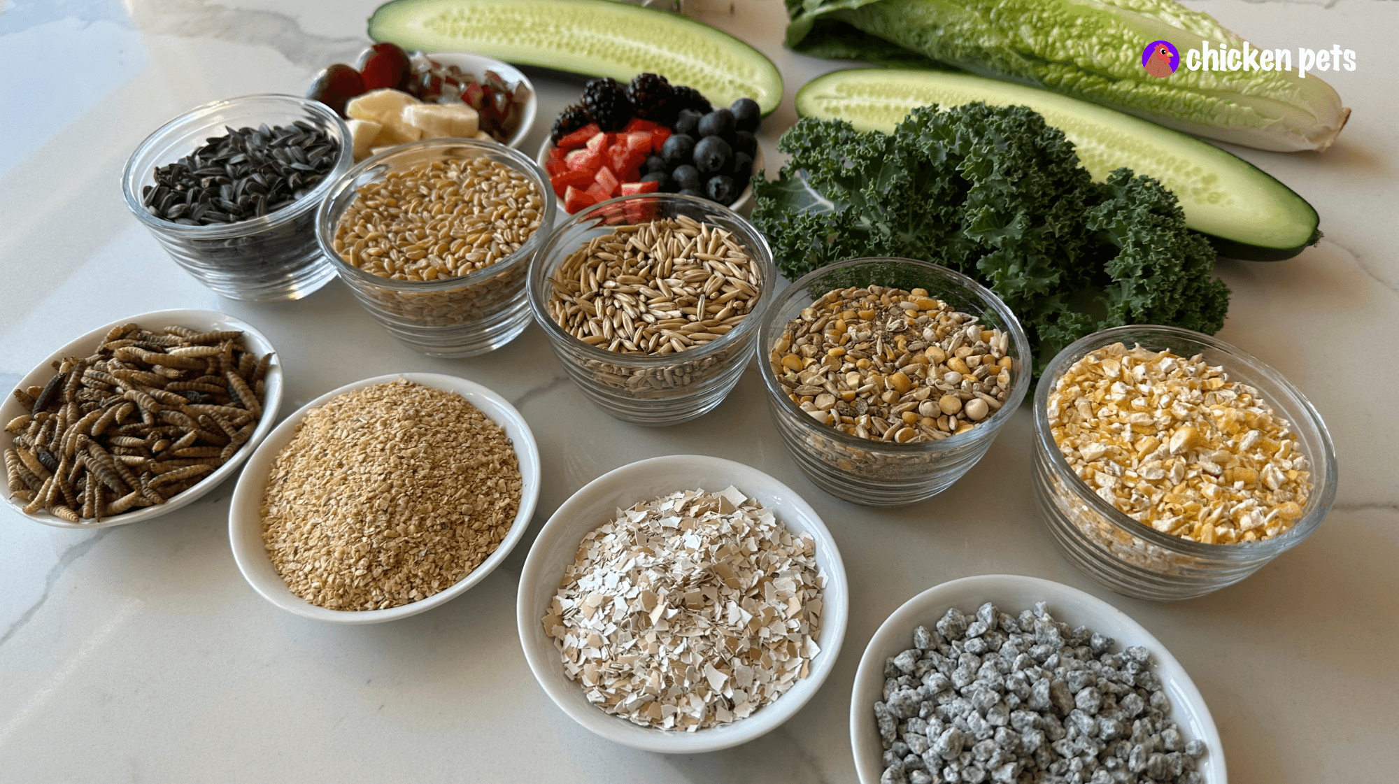 What Do Chickens Eat? A Feeding Guide Chicken Pets