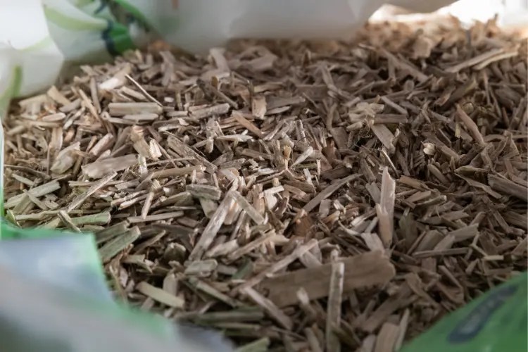 The Ultimate Guide to Using Hemp Bedding For Chickens