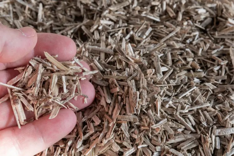 The Ultimate Guide to Using Hemp Bedding For Chickens