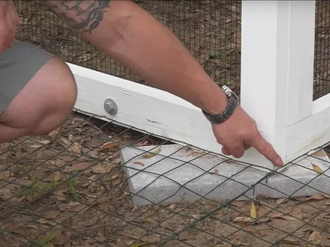 How to Protect Your Coop from Digging Predators with Coop Apron