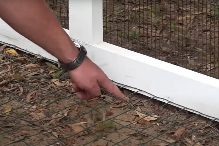 How to Protect Your Coop from Digging Predators with Coop Apron