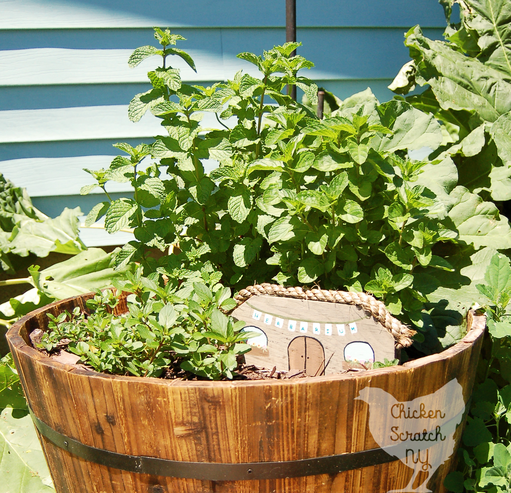 DIY Whiskey Barrel Mint Garden