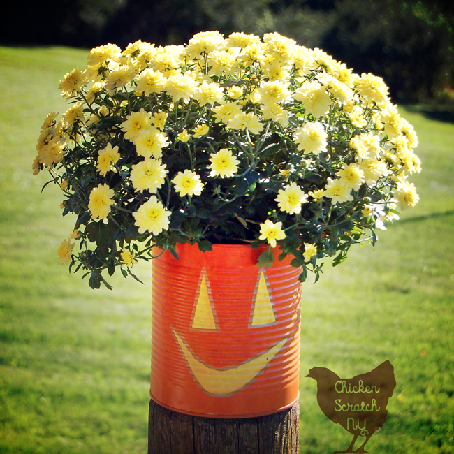 Tin Can JackOLantern Planters with DecoArt Chicken Scratch NY