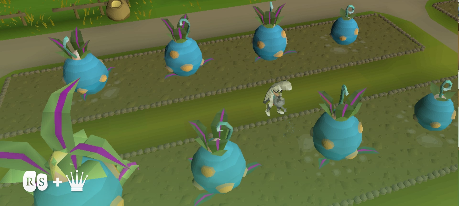 199 OSRS Farming Guide Mastering the Art of Harvesting Chicks Gold
