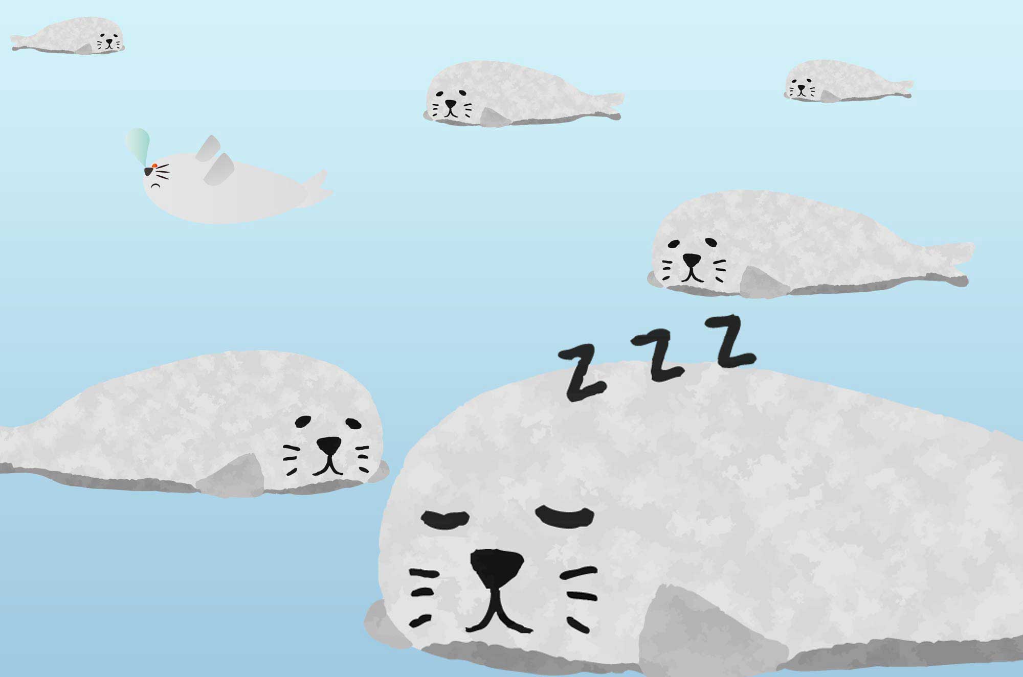 1 可愛いあざらしイラスト - フリーで使える海の動物素材 - チコデザ