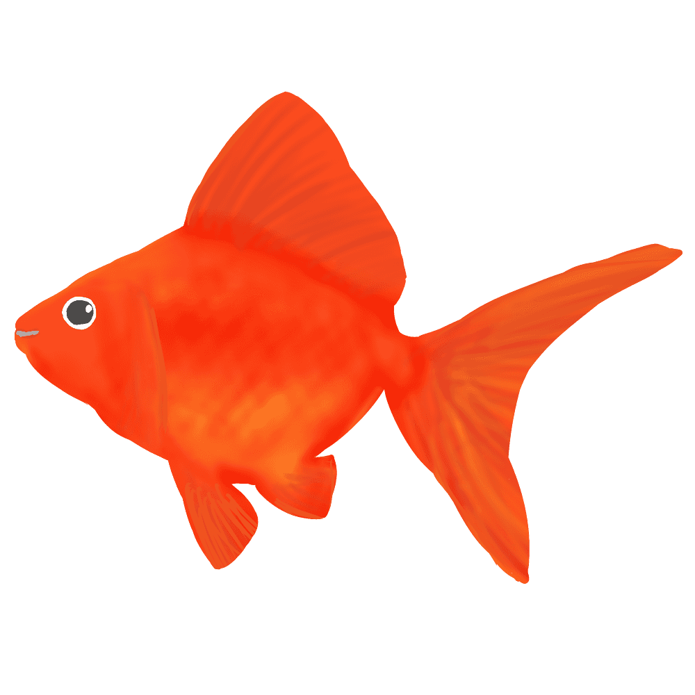 金魚イラスト 流金・コメット・和金・水草無料素材 チコデザ