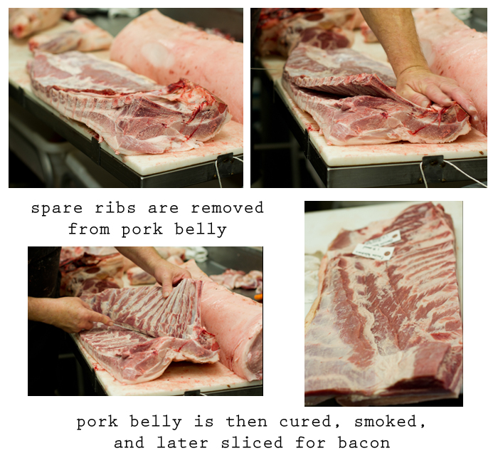 Where Does Bacon Come From? Cutting Up a Hog Chico Locker & Sausage