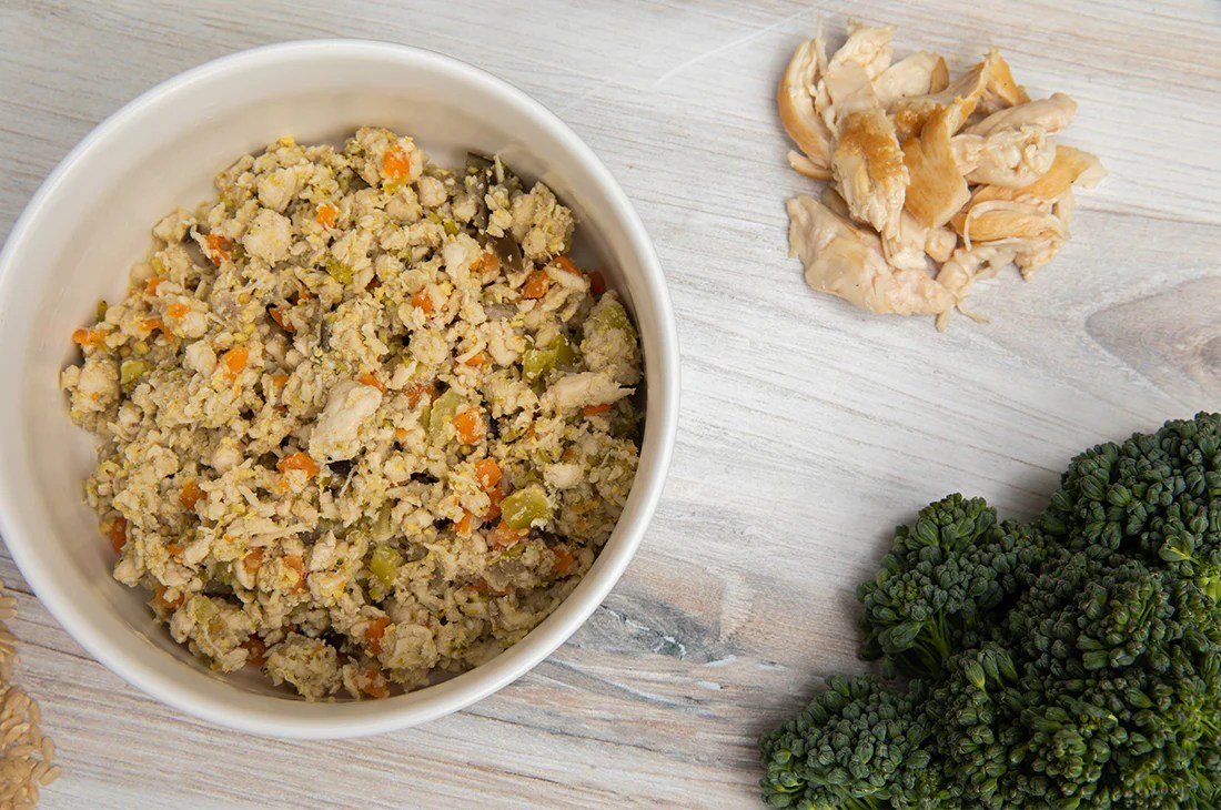 Best Dog Food For Sensitive Stomach What to Feed a Dog With Sensitive