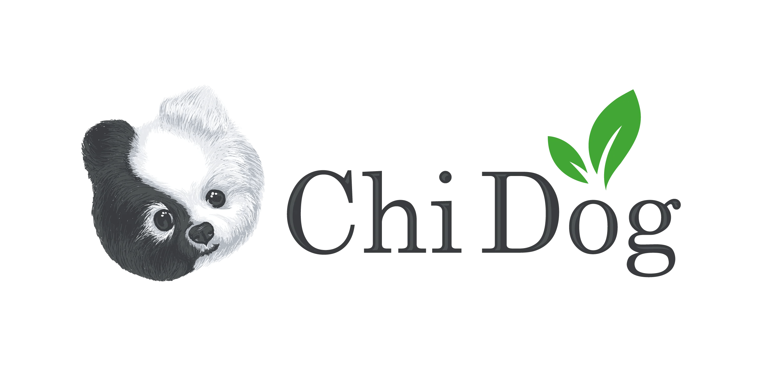 Sensitive Stomach Dog Food Raw Vs. Cooked Chi Dog