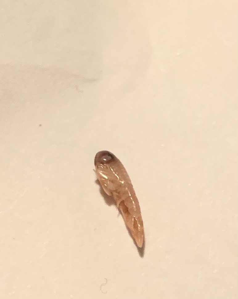 川の水ってどこから流れてくるんですか？ 川には必ず地下水が沸いている... Yahoo!知恵袋