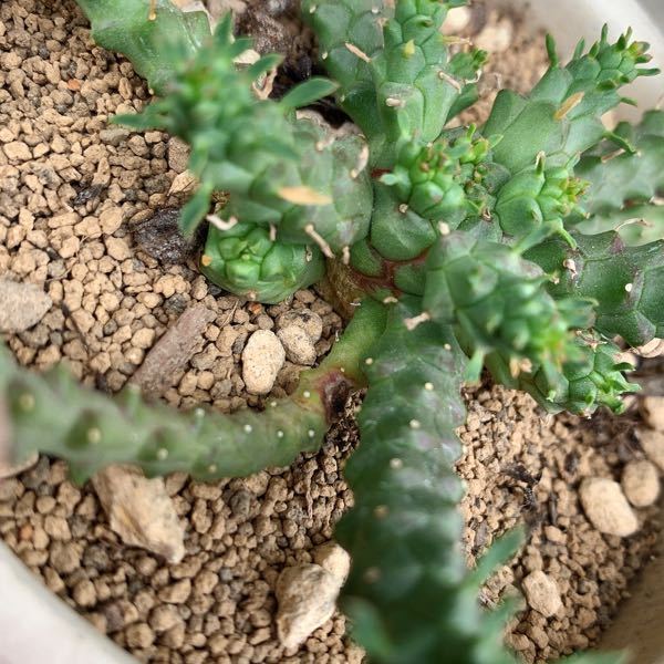 明日競艇に行きます初めていくので競艇についてはまったく知りません競艇の券... Yahoo!知恵袋