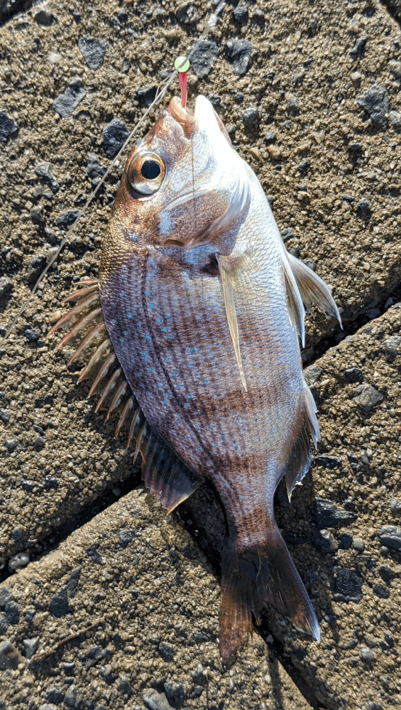 ラインについて質問。巻き直しをしてまだ使えるラインが有るのですが、フ... Yahoo!知恵袋