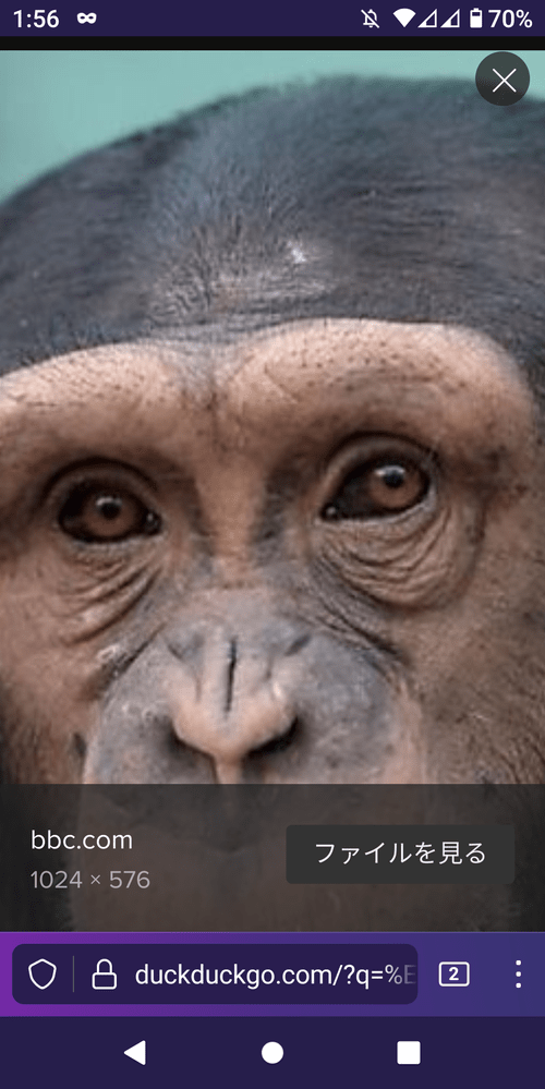 関西型の蛍と関東型の蛍の点滅間隔が違うのはなぜですか？理由を教えて下さい。 Yahoo!知恵袋