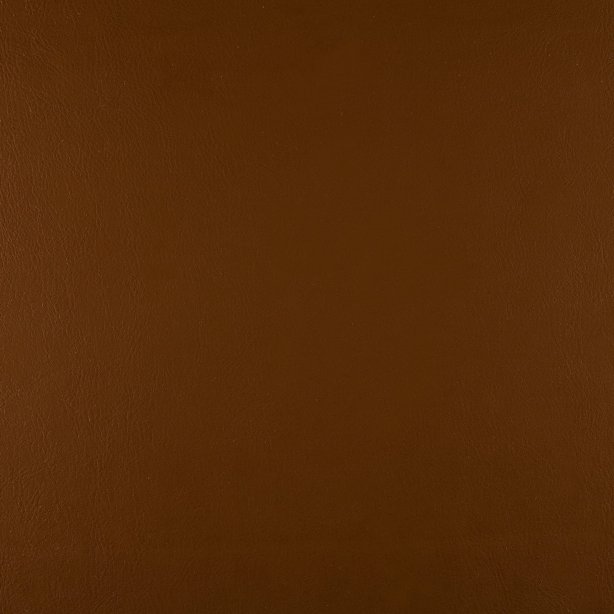 Walnut Color