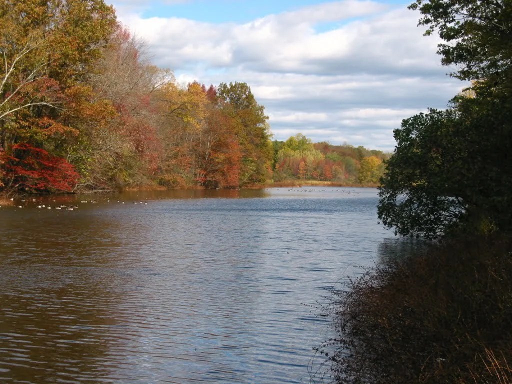 23 Best & Fun Things To Do in Edison, NJ (2024) Chief Tourist