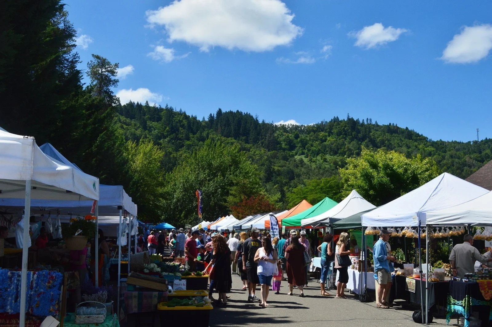 21 Best & Fun Things To Do In Silverton, OR (2024) Chief Tourist