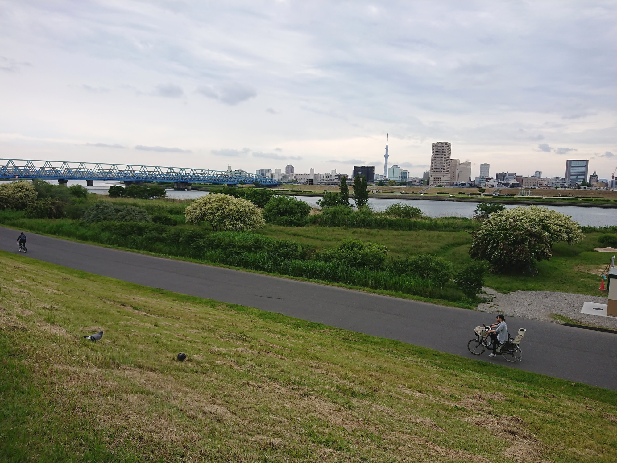 荒川(足立区)のハゼ＆テナガエビ釣り そして、天ぷらへ Chigyo Fishing