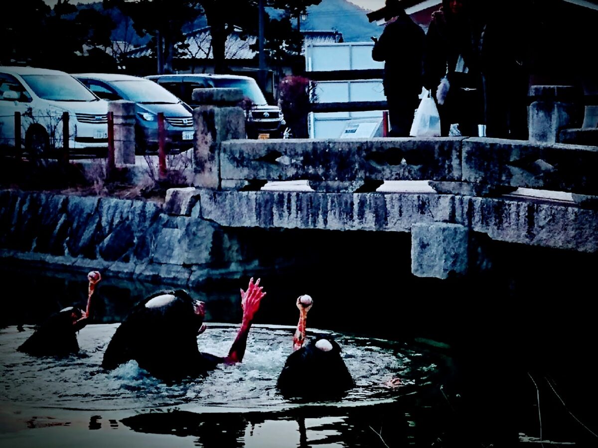 wp-1674573110899..jpg?fit=1200