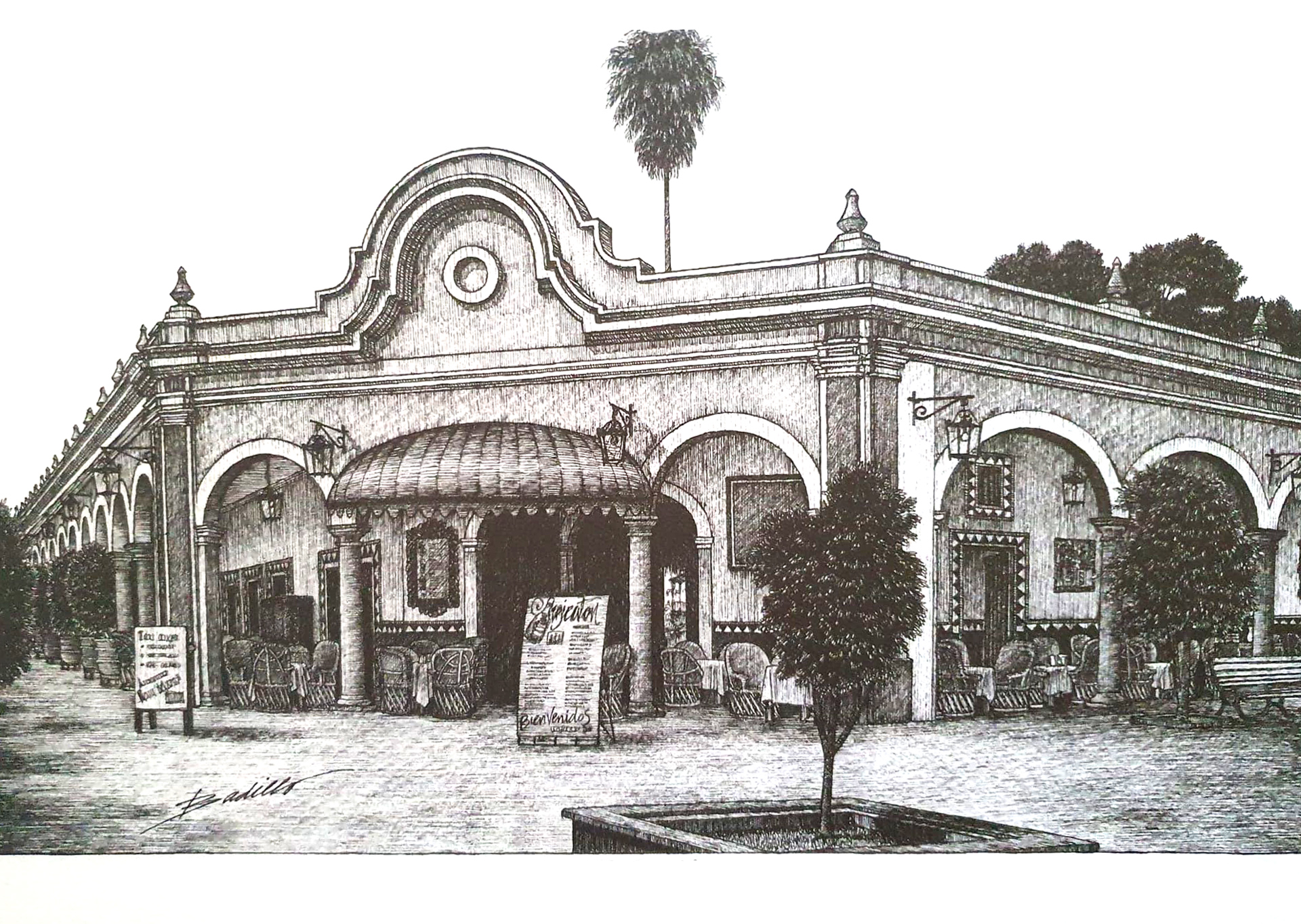 Chihuahua tacos y tragos