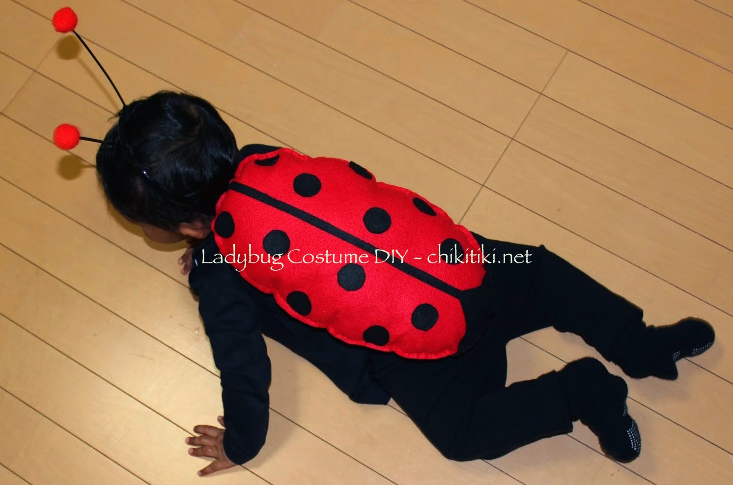 Ladybug Costume Diy – Chikitiki