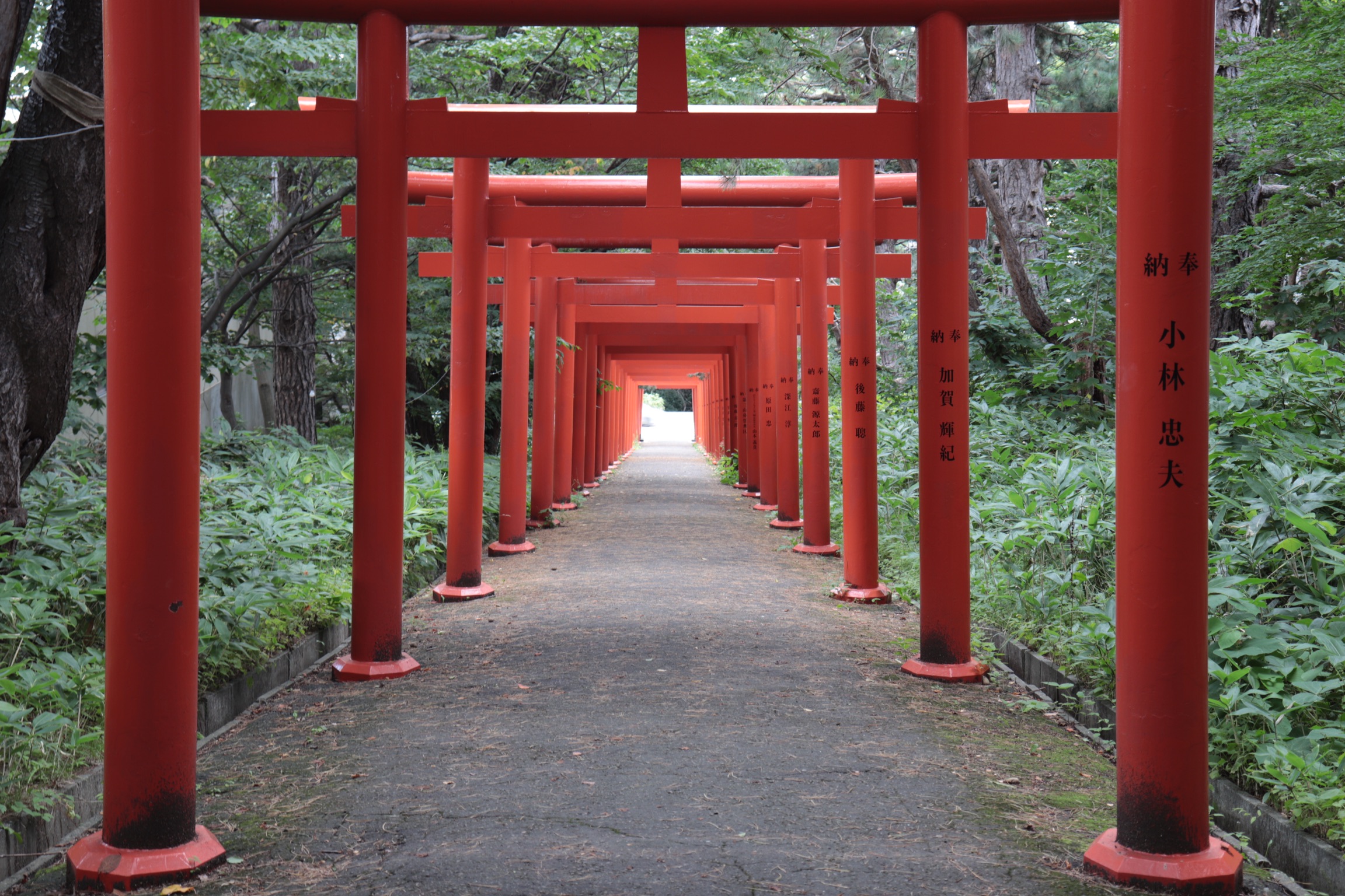 札幌伏見稲荷神社へ行ってきた 北海道の神社 ちくブロ 札幌伏見稲荷神社へ行ってきた 北海道の神社 ちくブロ