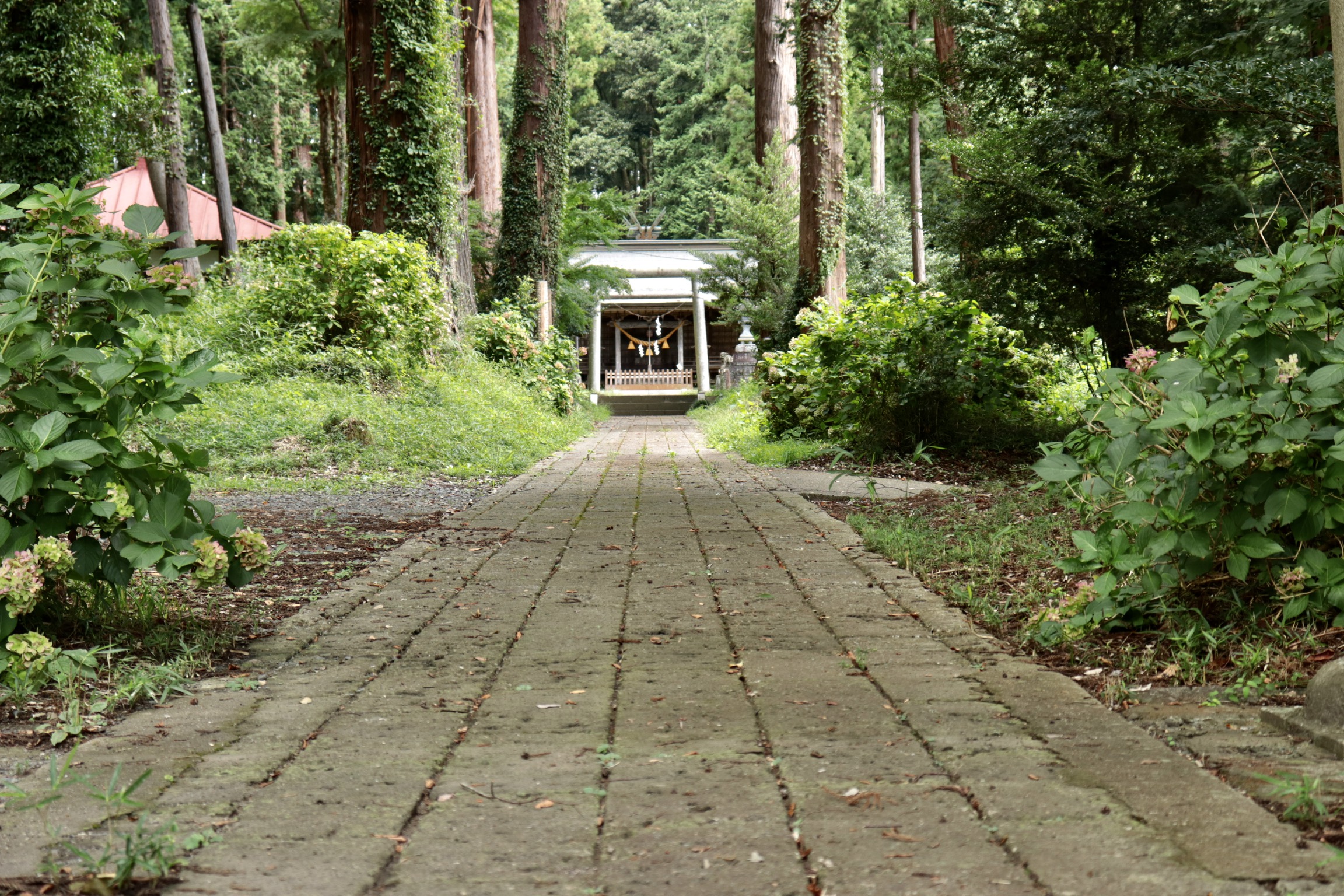 荒橿神社 あらかしじんじゃ 栃木県茂木町 ハイエース手作りキャンピングカーで日本一周