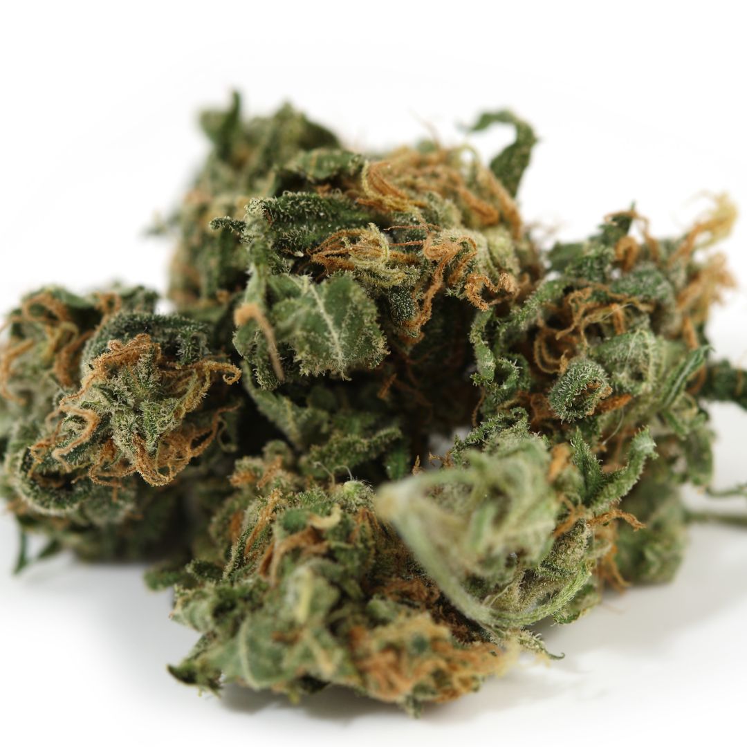 Laval SameDay Weed Delivery Bringing Convenience to the Quebec Region Canadian Cannabis