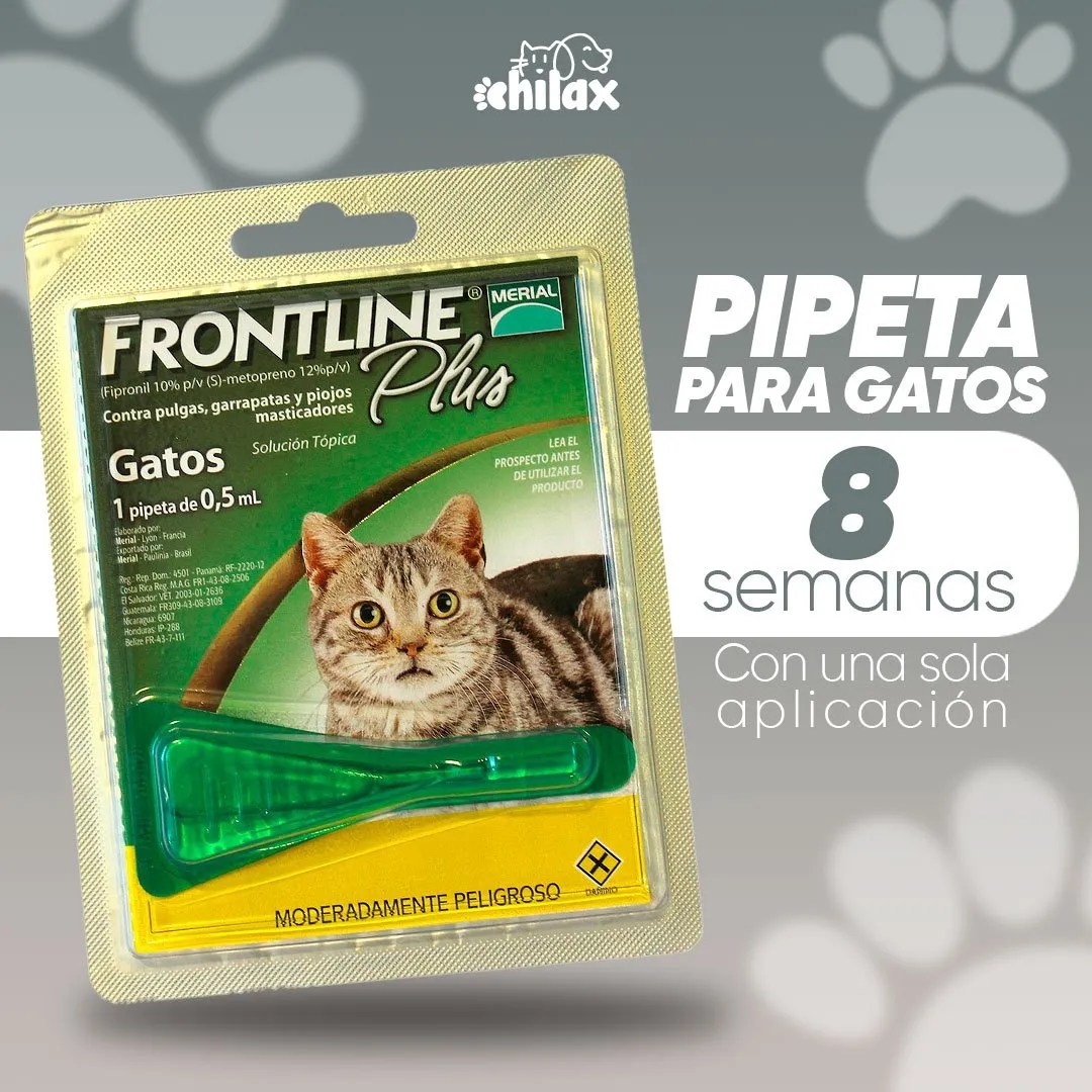 ¿Cómo desparasitar a mi gato? Chilax El Salvador