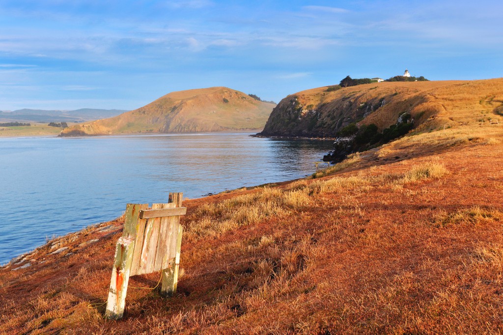 Golden Bay Chilby Photography